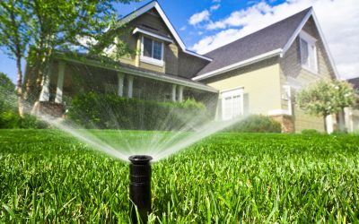 Lawn Irrigation System & Repair